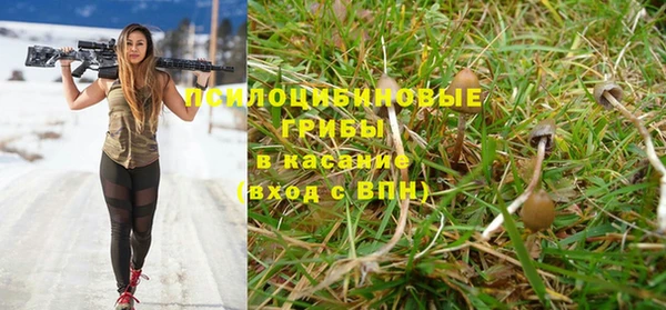 винт Нея